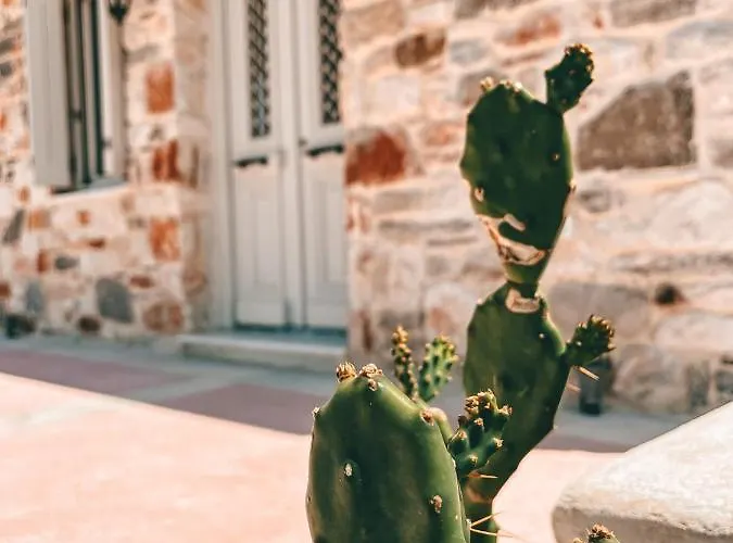 Aphrodite's Βίλα *